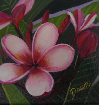 An Acrylic painting by Dawn Luttrell in the Realist style  depicting Flowers with main colour being Pink Red and White and titled Red Frangipani