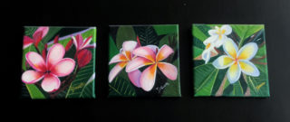 An Acrylic painting by Dawn Luttrell in the Realist style  depicting Flowers with main colour being Green Orange and Pink and titled Frangipani