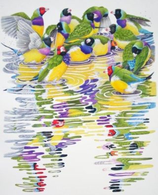 A Coloured Pencils painting by Janet Matthews in the Realist style  depicting Animals Birds with main colour being Green Grey and Purple and titled Gouldian Finches - It’s a Bath Party