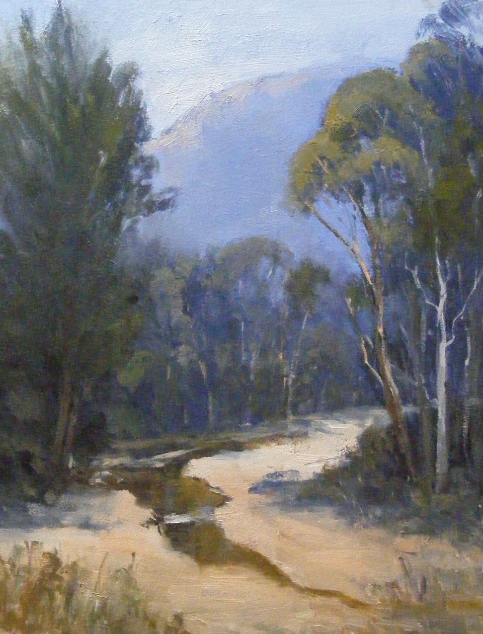 Oil Painting by Trish Bennett titled River Reflections