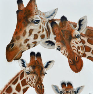 An Acrylic painting by Fiona Groom in the Realist style  depicting Animals with main colour being Brown and White and titled Hey Im Down Here