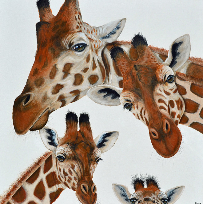 Acrylic Painting by Fiona Groom titled Hey Im Down Here
