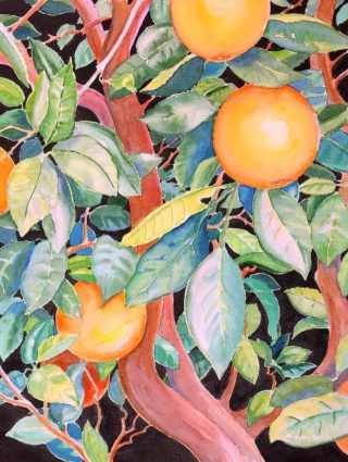 A Watercolour painting by Gregory Pastoll in the Contemporary Realist style  depicting Fruit with main colour being Black Brown and Green and titled Oranges