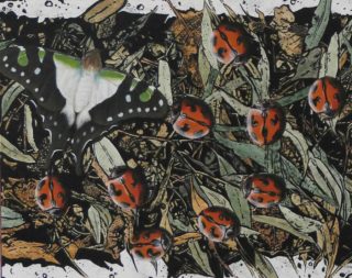 An Acrylic painting by Fiona Groom in the Realist style  Animals with main colour being Black Brown and Green and titled Busy Bugs