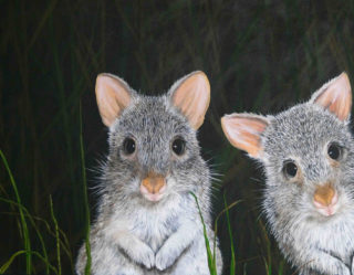 An Acrylic painting by Fiona Groom in the Realist style  depicting Animals with main colour being Black Brown and Grey and titled I See Youuu