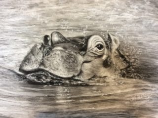 A Charcoal painting by Ainsley McPherson in the Realist style  depicting Animals with main colour being Grey and titled Heads Up