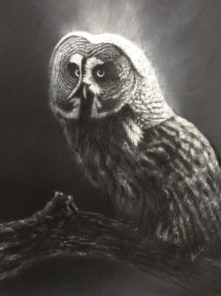 A Pastel painting by Ainsley McPherson in the Realist style  depicting Animals Birds with main colour being Grey and titled Moonlight Owl