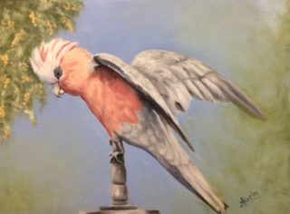 An Oil painting by Ainsley McPherson in the Realist style  depicting Animals Birds with main colour being Green Grey and Pink and titled Galah in my Garden