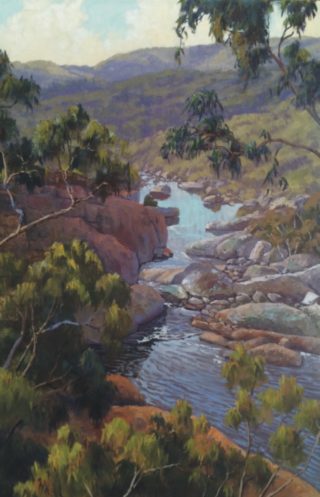 An Oil painting by Nicki Hall in the Realist Impressionist style  depicting River Bush and Rocks with main colour being Green and Purple and titled Cascades