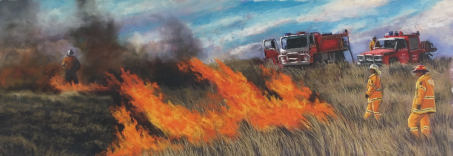 Pastel Painting by Nicki Hall titled HR Candelo