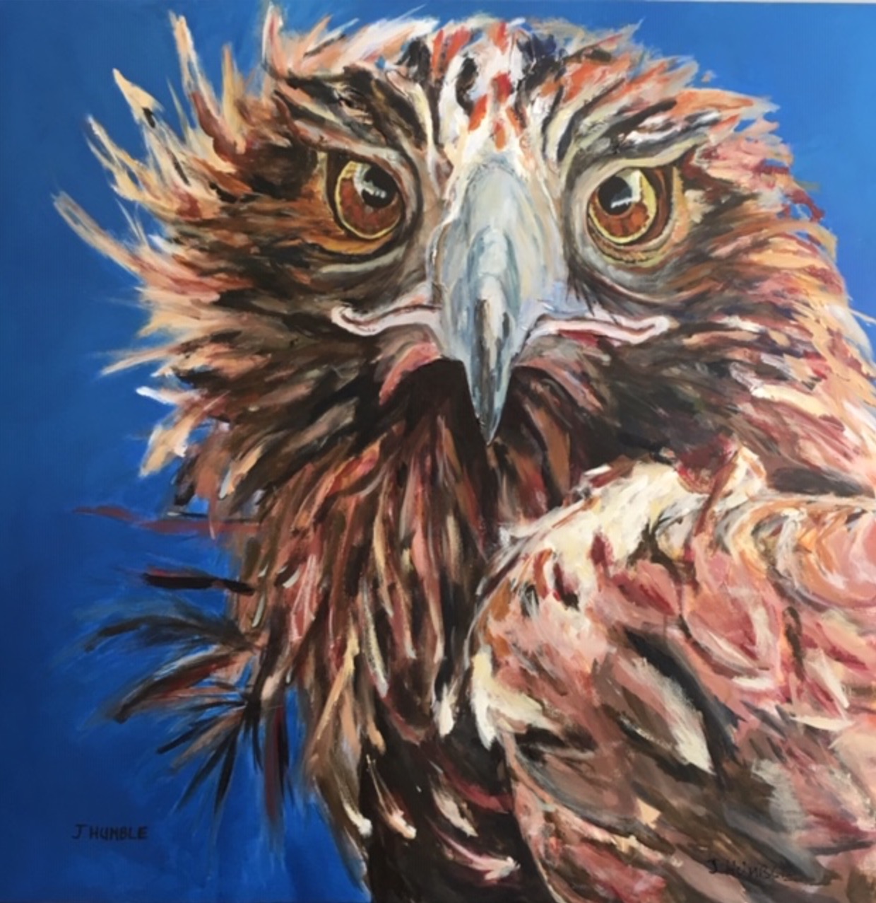 Pastel Painting by Janette Humble titled Eagle Eyes