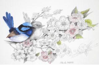 A Mixed Media painting by Ellen Lee Osterfield in the Realist style  depicting Birds with main colour being Blue Grey and Pink and titled Blue Wren Pair