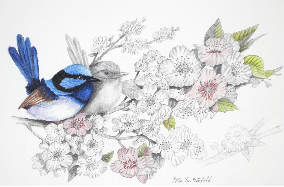 Mixed Media Painting by Ellen Lee Osterfield titled Blue Wren Pair