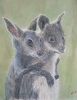 A Pastel painting by Kathleen Bentley Animals with main colour being Grey and Olive and titled Kangaroos