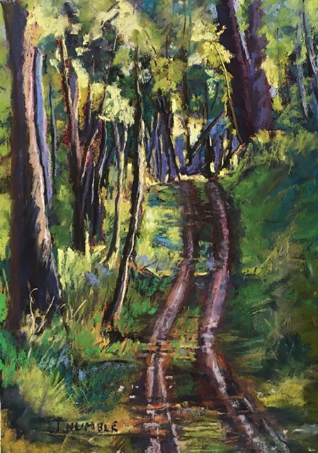 Pastel Painting by Janette Humble titled Along the Track