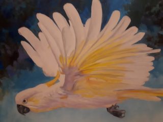 An Oil painting by Halina Kobialka in the Realist style  depicting Birds with main colour being Grey White and Yellow and titled Cockatoo