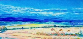 An Oil painting by Halina Kobialka in the Realist style  depicting Landscape Rural with main colour being Blue Cream and Orange and titled Morning mist at the field