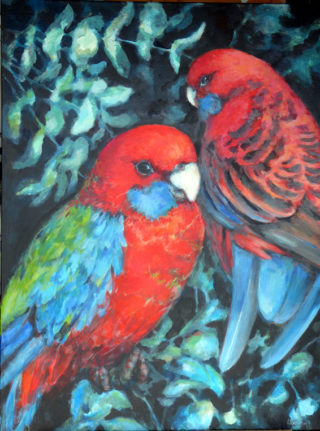 An Acrylic painting by Ekaterina Mortensen in the Realist style  depicting Birds with main colour being Black and Red and titled ROSELLAS