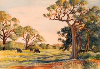 A Watercolour painting by Gregory Pastoll in the Contemporary Realist style  Animals Farmland and Sunset with main colour being Brown Green and Orange and titled Field with Trees and Cows