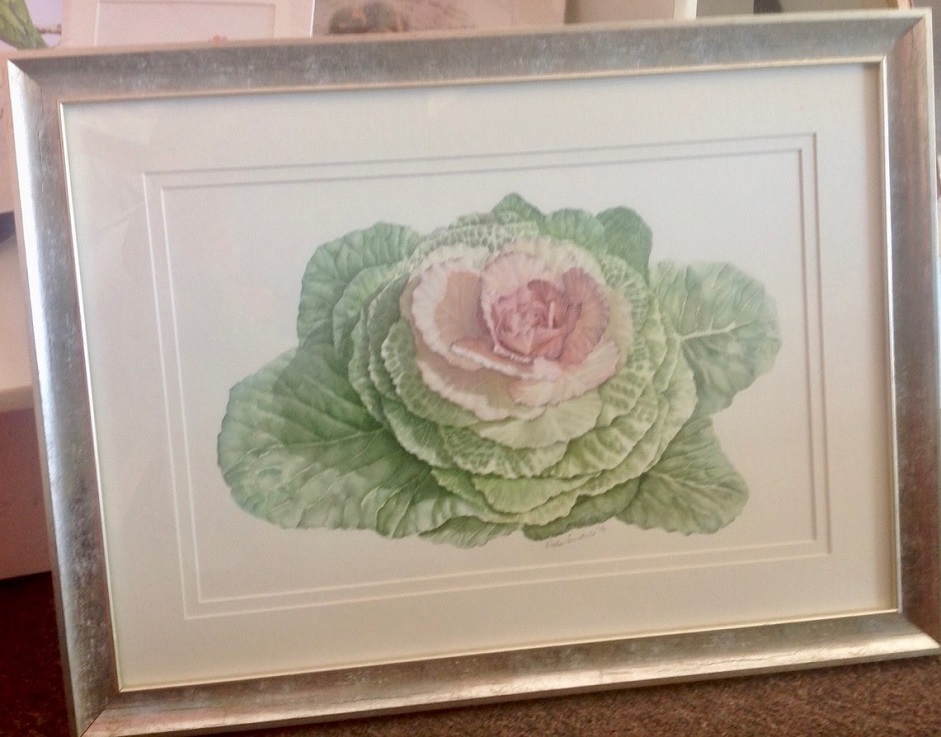 Watercolour Painting by Nola Sindel titled Kale