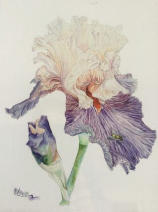 A Watercolour painting by Renee Loh in the Realist style  depicting Flowers and titled Iris