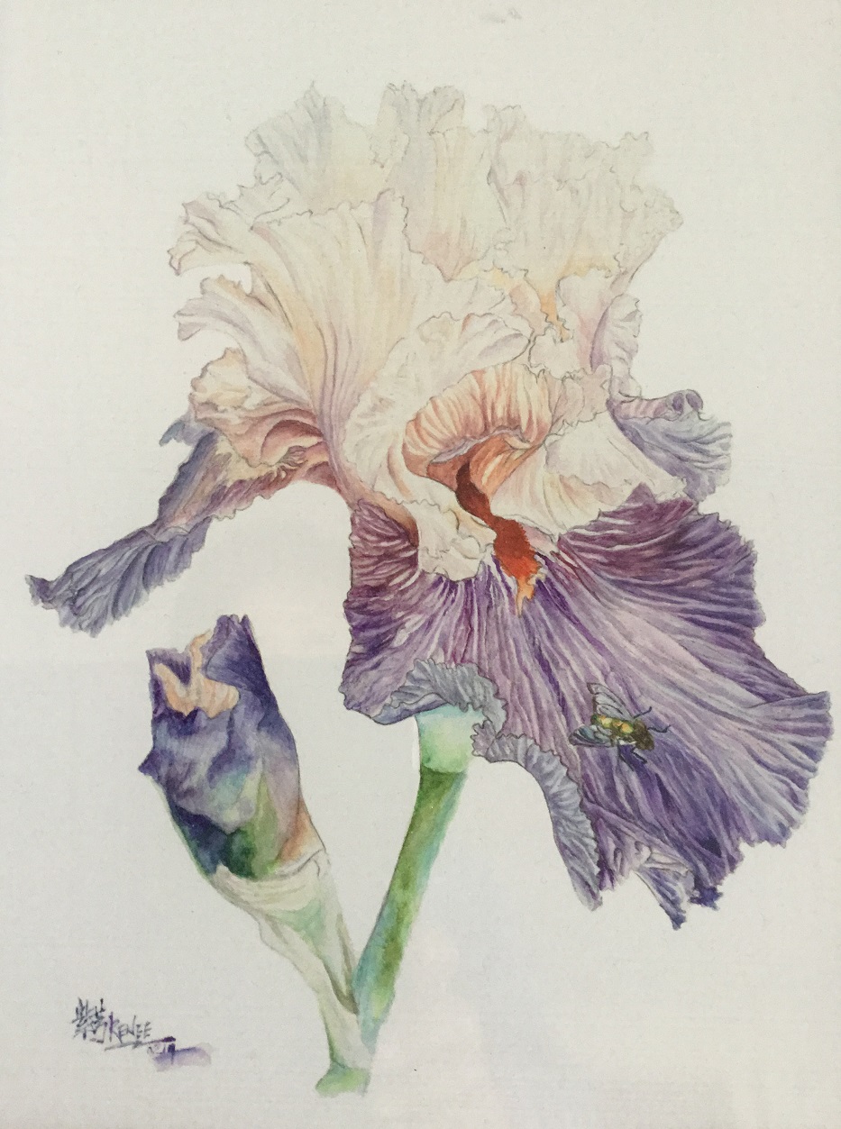 Watercolour Painting by Renee Loh titled Iris