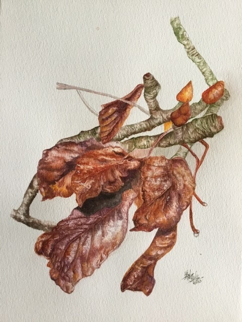 Watercolour Painting by Renee Loh titled The Buds
