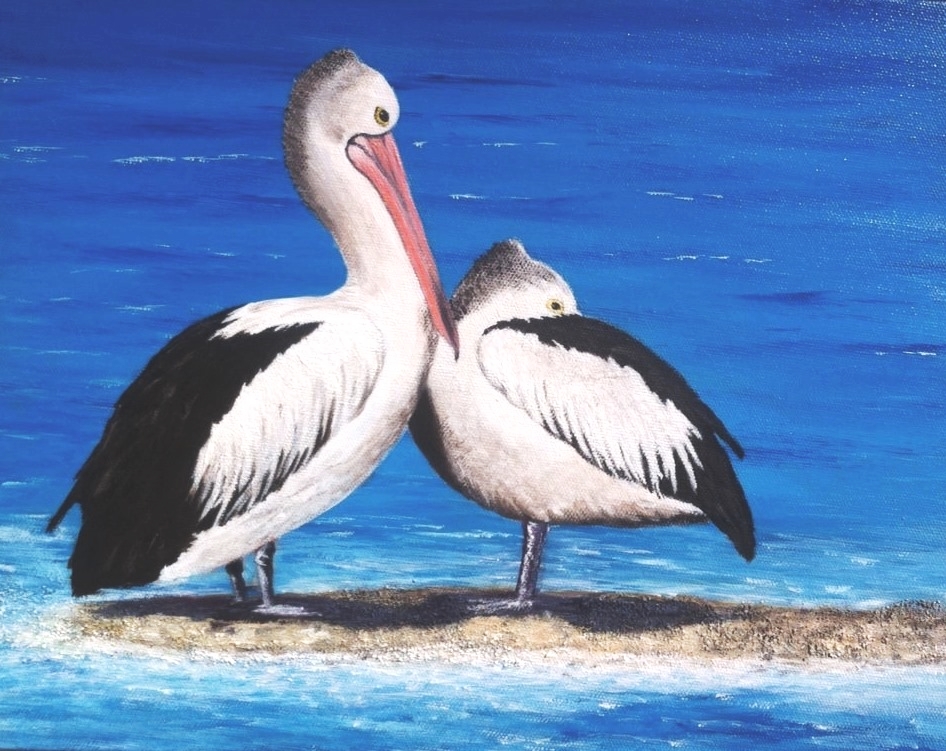 Acrylic Painting by Jenny Ellis-Newman titled Pelican Couple at the Beach