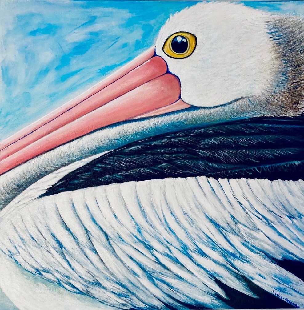 Acrylic Painting by Jenny Ellis-Newman titled Australian Pelican