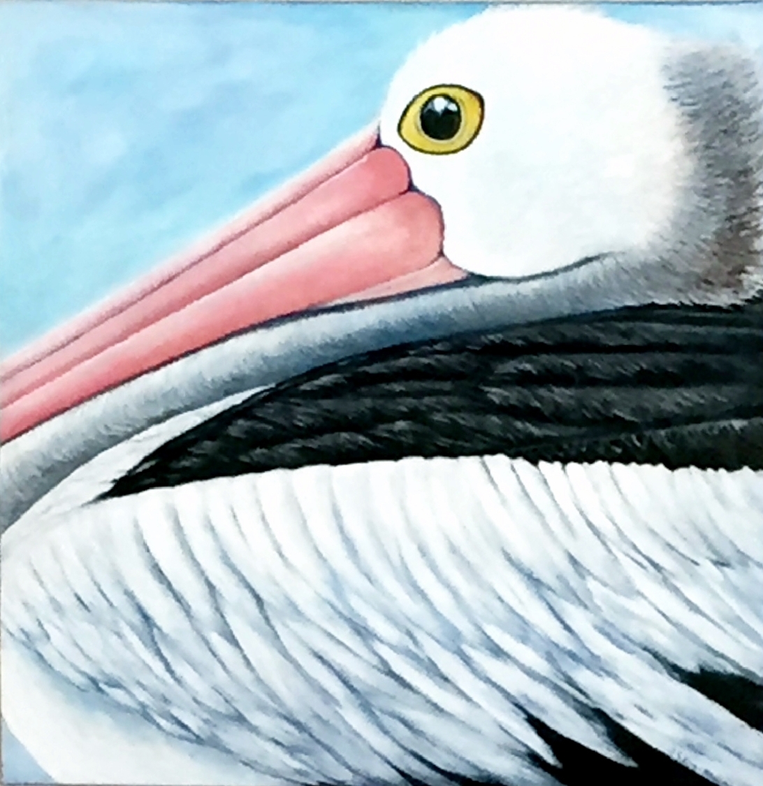 Acrylic Painting by Jenny Ellis-Newman titled Australian Pelican