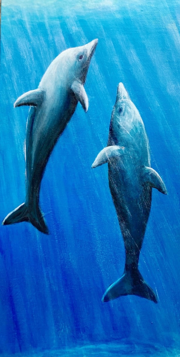 Acrylic Painting by Jenny Ellis-Newman titled Playful Dolphins