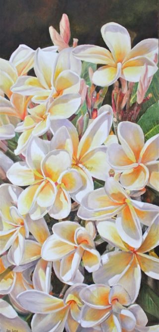 An Oil painting by Jan Long in the Realist style  depicting Flowers with main colour being Olive White and Yellow and titled Frangipani