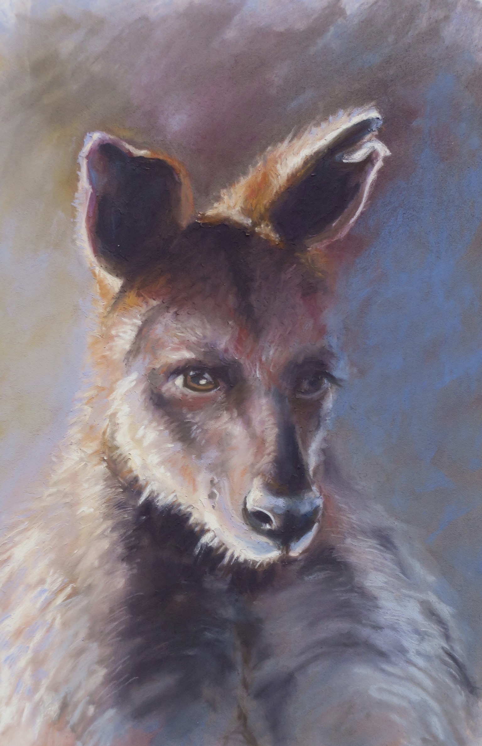 Pastel Painting by Diana Bradshaw titled Joga - Swamp Wallaby