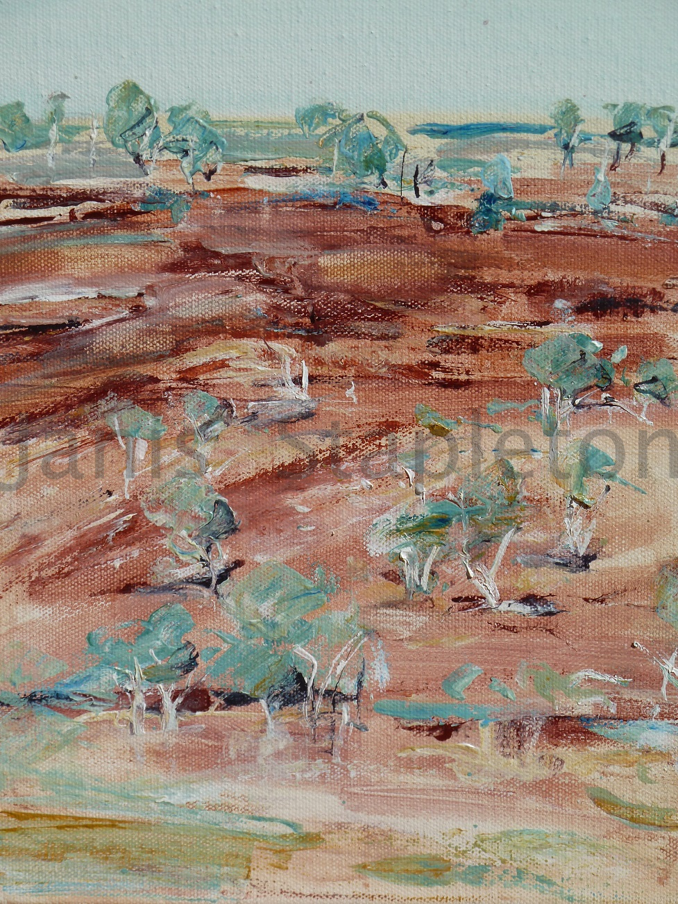 Acrylic Painting by Janis Stapleton titled Karijini 