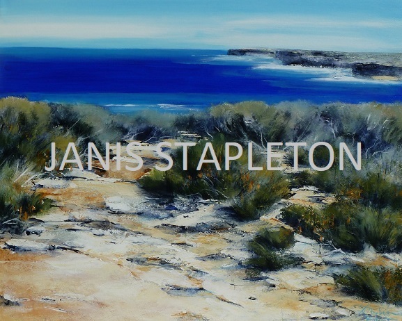 Janis Stapleton-72a-Wild Coast Sienna OzArt Finder.small
