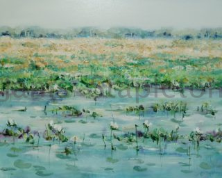 An Acrylic painting by Janis Stapleton depicting Landscape Swamp and Water with main colour being Blue Green and Ochre and titled White Lilies Yellow Waters Billabong 