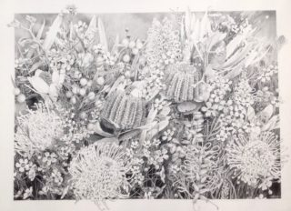 A Pencil painting by Jan Long in the Realist style  depicting Flowers with main colour being Black Grey and White and titled Floral Study