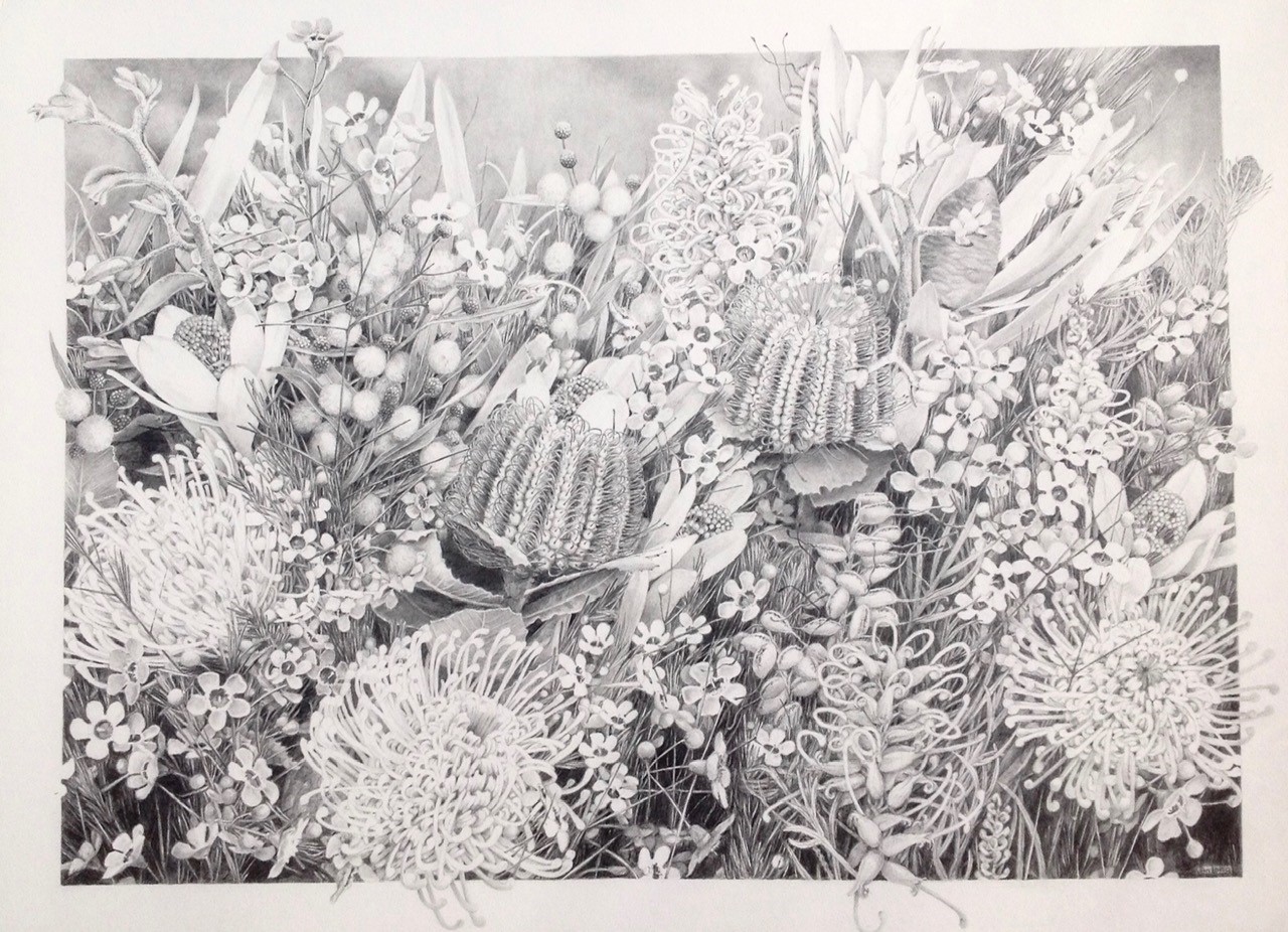 Pencil Painting by Jan Long titled Floral Study