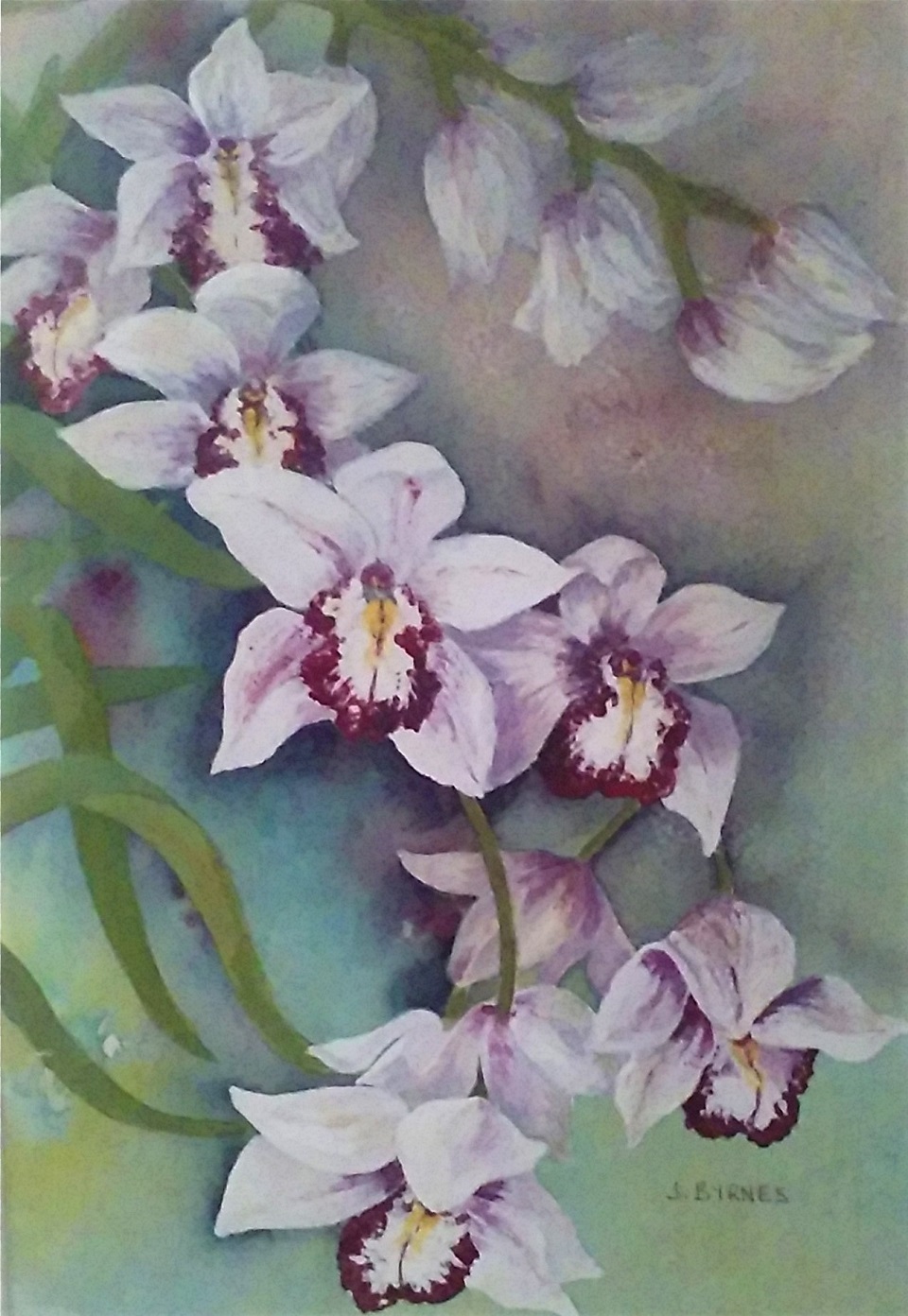   by  titled 