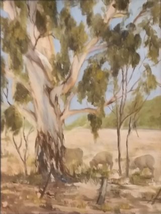 A Watercolour painting by Jeanette Akkanen in the Realist Impressionist style  depicting Trees Rural and titled Sheep in Paddock