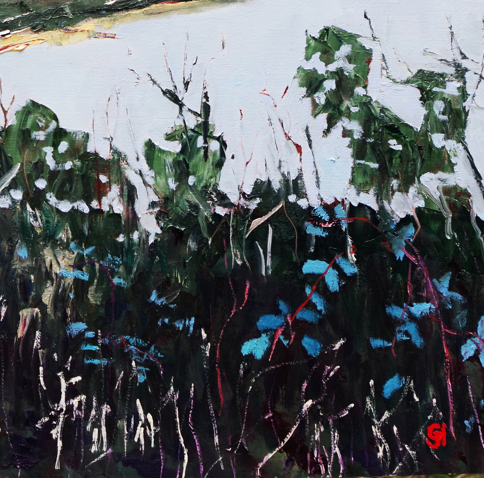 Oil Painting by Geoff Hargraves titled View from Barrenjoey track