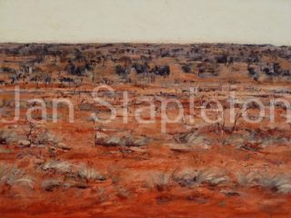 A Mixed Media painting by Janis Stapleton depicting Landscape Outback with main colour being Grey Olive and Red and titled Mulga Spinifex Halls Creek WA