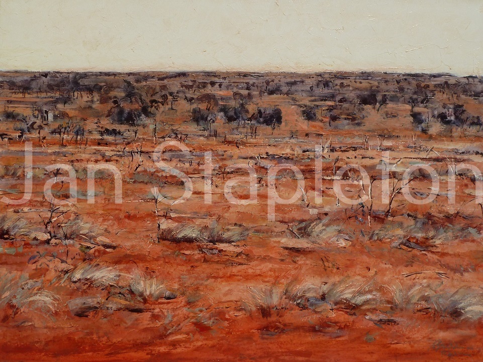 Mixed Media Painting by Janis Stapleton titled Mulga Spinifex Halls Creek WA