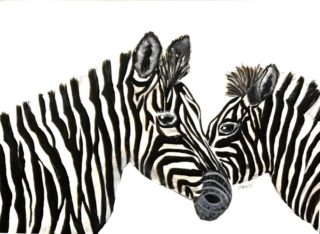 An Acrylic painting by Georgina Walsh depicting Animals with main colour being Black and White and titled Mothers Love no 2
