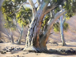 An Oil painting by John Rice in the Impressionist style  depicting Trees Desert and Outback with main colour being Blue Green and Orange and titled Gums In The Creek Bed, Ormiston Gorge