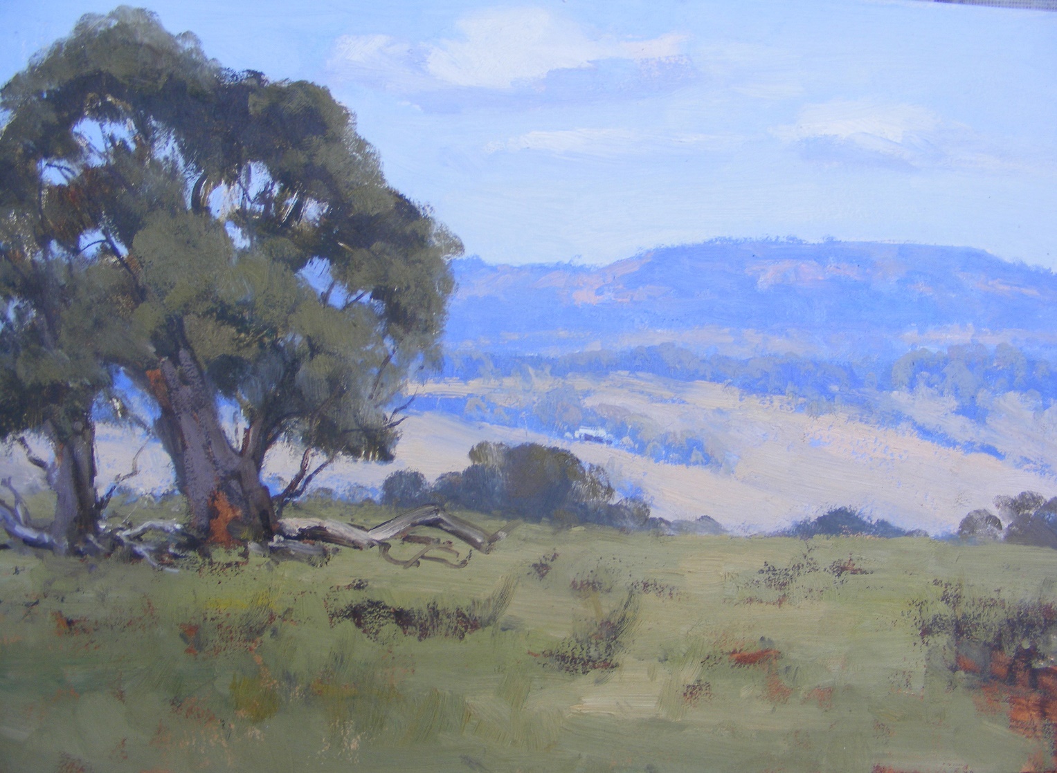 Oil Painting by Trish Bennett titled Valley View Capertee