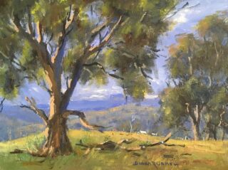 An Oil painting by Diana Garth in the Impressionist style  depicting Landscape Rural and Trees with main colour being Blue Ochre and Olive and titled Outside Kandos