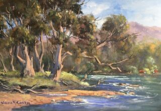 An Oil painting by Diana Garth in the Impressionist style  depicting Landscape River Trees and Water and titled By the Brungle River