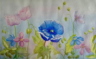 A Watercolour painting by Glenys Gaston depicting Flowers and titled Blushing Poppies II