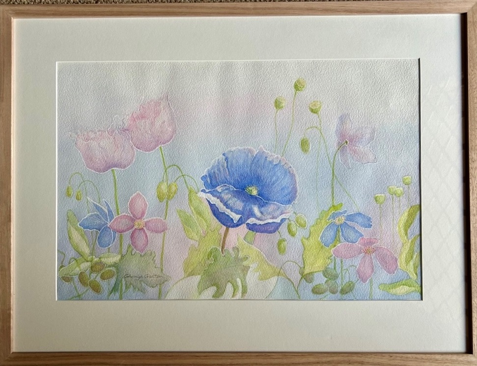 Watercolour Painting by Glenys Gaston titled Blushing Poppies II